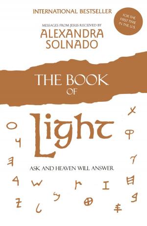 Cover of the book The Book of Light by Jenny Lauren