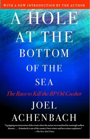 Cover of the book A Hole at the Bottom of the Sea by Mark Whitaker