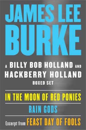 Cover of the book A Billy Bob and Hackberry Holland Ebook Boxed Set by James Lee Burke