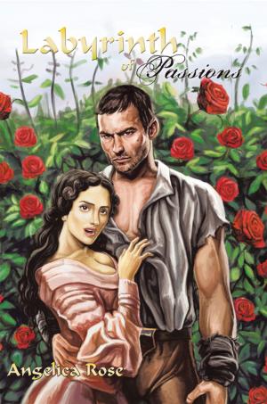 Cover of the book Labyrinth of Passions by Carey Moss