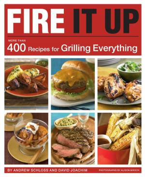 Cover of the book Fire It Up by David Borgenicht, Ben Winters