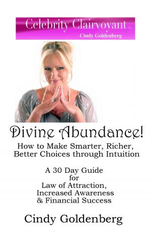 Cover of the book Divine Abundance! How to Make Smarter, Richer, Better Choices Through Intuition-A 30 Day Guide by Lindsay Sealey