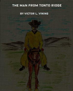 Cover of the book The Man From Tonto Ridge by Veli Arık