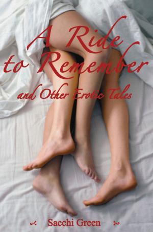 Cover of the book A Ride to Remember and Other Erotic Tales by Steve Berman