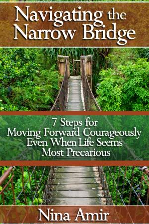 Cover of the book Navigating the Narrow Bridge: 7 Steps for Moving Forward Courageously Even When the Life Seems Most Precarious by Derrick Jones