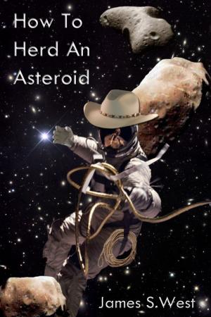 Cover of the book How to Herd an Asteroid by Dale Cozort