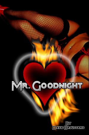 bigCover of the book Mr. Goodnight by 