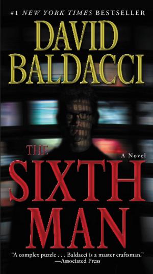 Book cover of The Sixth Man