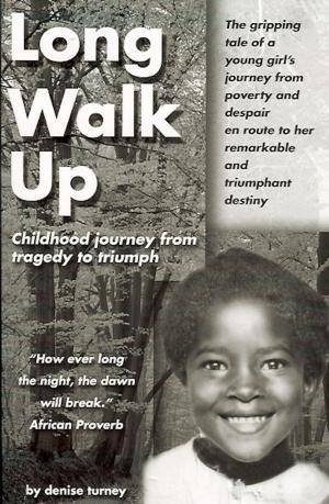 Cover of the book Long Walk Up by Aaron Dov