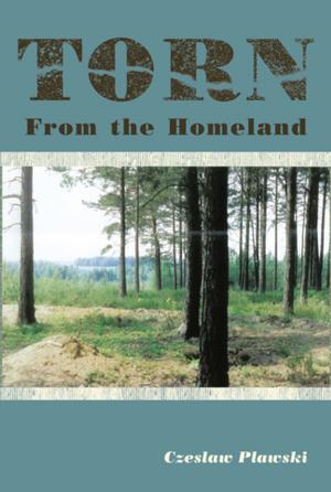 Cover of the book Torn from the Homeland by Virginia Chukwuzitelu Nnolim