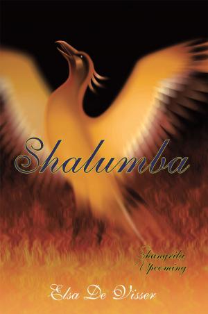 Cover of the book Shalumba by David Allen Summers