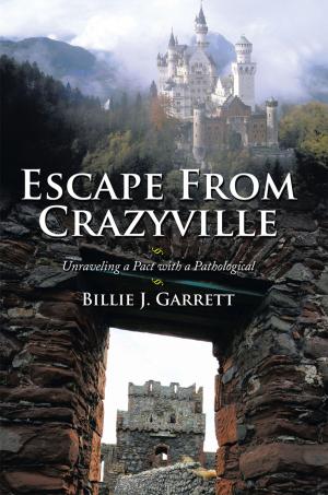 Book cover of Escape from Crazyville