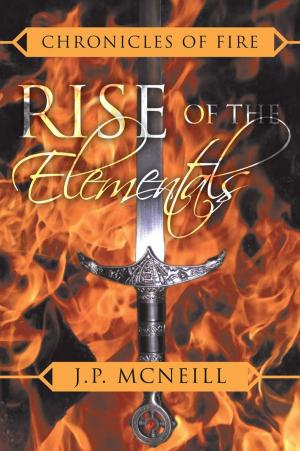 Cover of the book Chronicles of Fire by Melissa Lynch