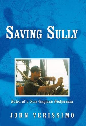 Cover of the book Saving Sully by George E. Pfautsch