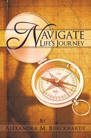 Book cover of Navigate Life's Journey
