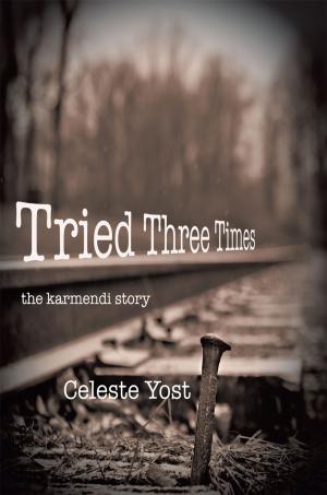 Cover of the book Tried Three Times by Jemayne L. King