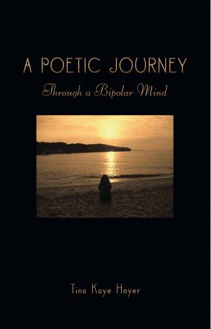 Cover of the book A Poetic Journey by Charles Scott