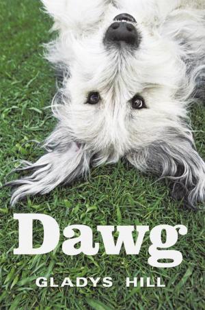 bigCover of the book Dawg by 