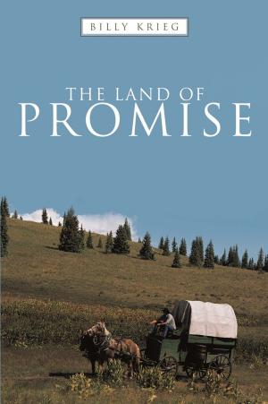 Cover of the book The Land of Promise by Bruce Kimmel