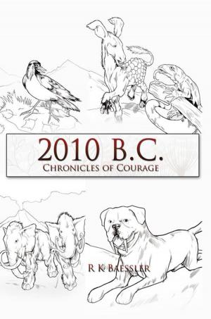 Cover of the book 2010 B.C. by Vallyn Bernard