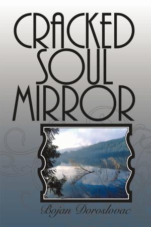 Cover of the book Cracked Soul Mirror by TS Alan