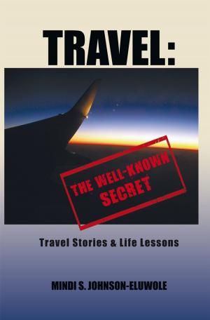 bigCover of the book Travel: the Well-Known Secret by 