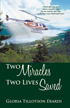 Cover of the book Two Miracles Two Lives Saved by J. Thomas Miller III, Dr. Wayne Scott