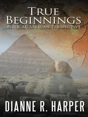 Cover of the book True Beginnings by Karen Zauder Brass