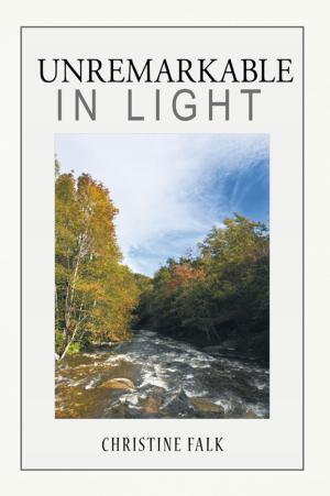 Cover of the book Unremarkable in Light by Reverend Dr. R. B. Holmes Jr., Dr. A. Lemelle Evans