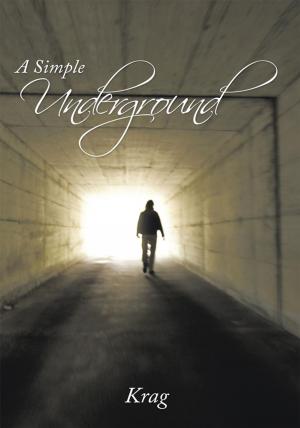 Cover of the book A Simple Underground by Manual Ford