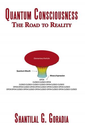 Cover of the book Quantum Consciousness by Gerald Ziedenberg