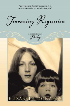Cover of the book Traversing Regression by Joel R. Linnabary