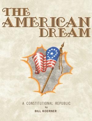 Cover of the book The American Dream by Emilia Lafond