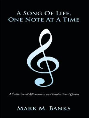 Book cover of A Song of Life, One Note at a Time