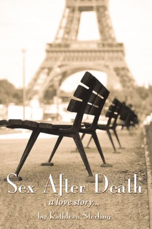 Cover of the book Sex After Death by Barbara Gourley