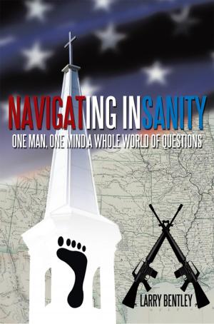Cover of the book Navigating Insanity by Terrence LeRoy Baker