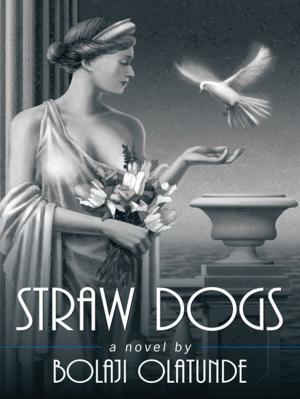Cover of the book Straw Dogs by Geoff Dickinson
