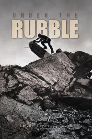Cover of the book Under the Rubble by Ayla Hashway