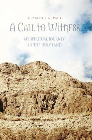 Cover of the book A Call to Witness by S. B. Broshar