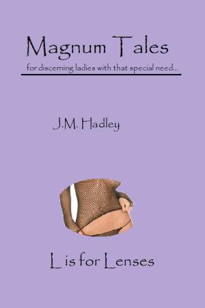 Cover of the book Magnum Tales ~ L is for Lenses by J.M. Hadley