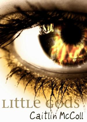 Book cover of Little Gods