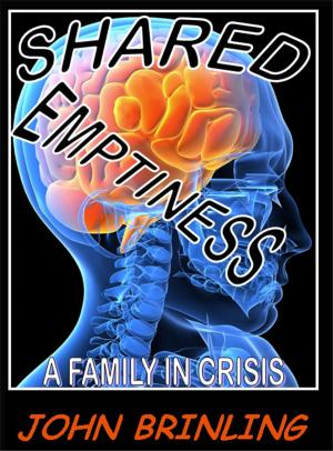Cover of the book Shared Emptiness by David Mason