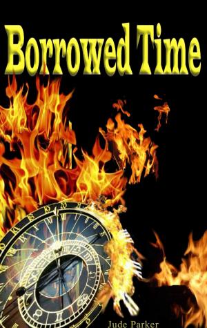 Cover of the book Borrowed Time by D.C. Blackbird