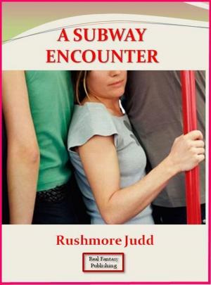 bigCover of the book A Subway Encounter by 