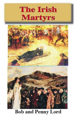 bigCover of the book The Irish Martyrs by 
