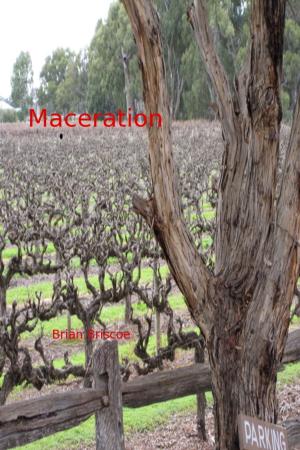 Cover of the book Maceration by Thom Whalen