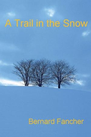 Book cover of A Trail in the Snow