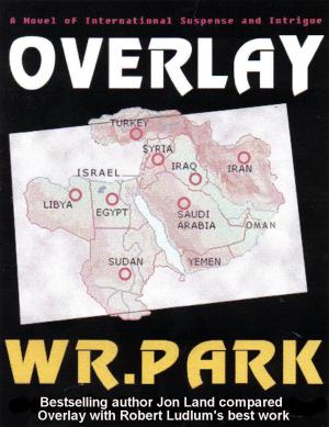 Cover of the book Overlay by Laura Payeur