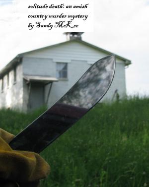 Cover of the book Solitude Death: An Amish Country Murder Mystery by Stephen B King