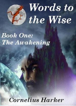 Cover of the book Words to the Wise: Book One (The Awakening) by P.F. Ward